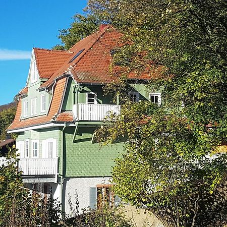 Appartamento Waldheim Lindenfels Esterno foto