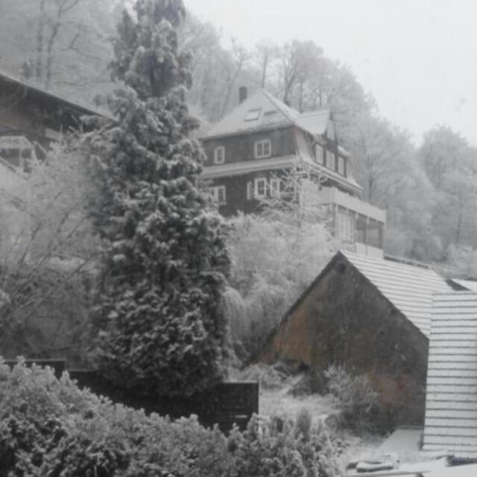 Appartamento Waldheim Lindenfels Esterno foto