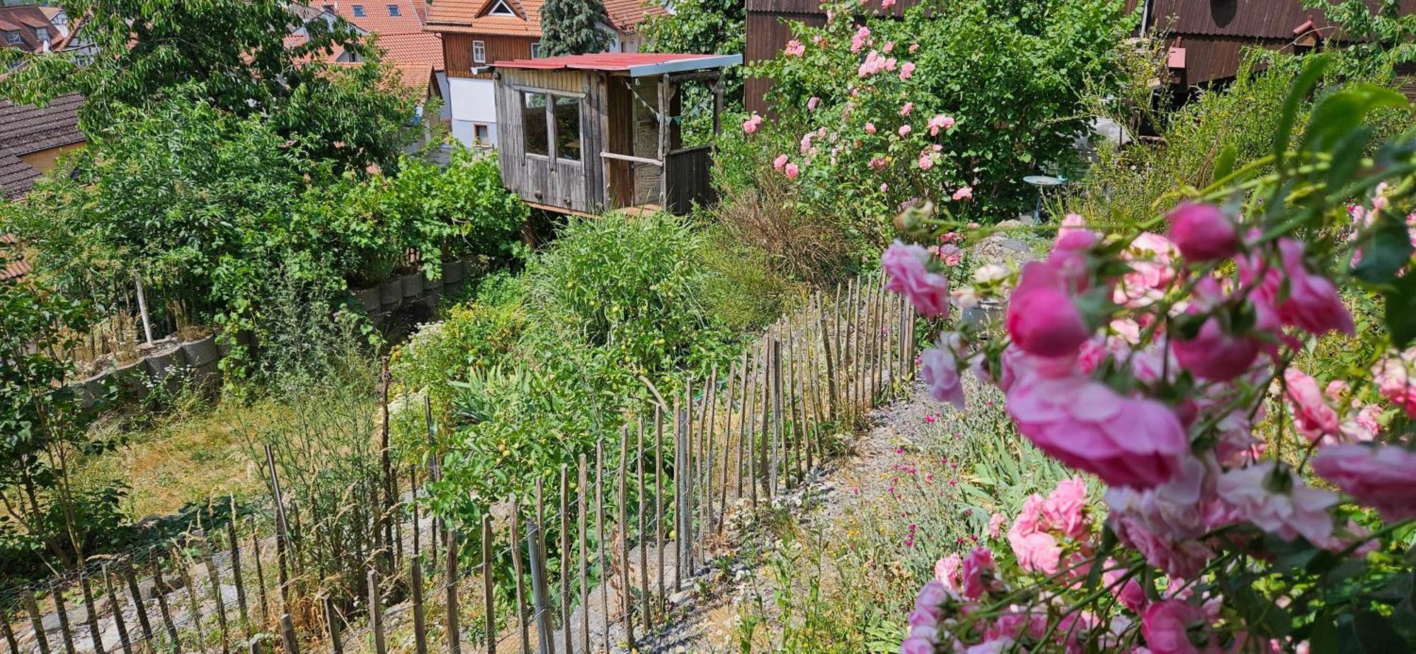 Appartamento Waldheim Lindenfels Esterno foto